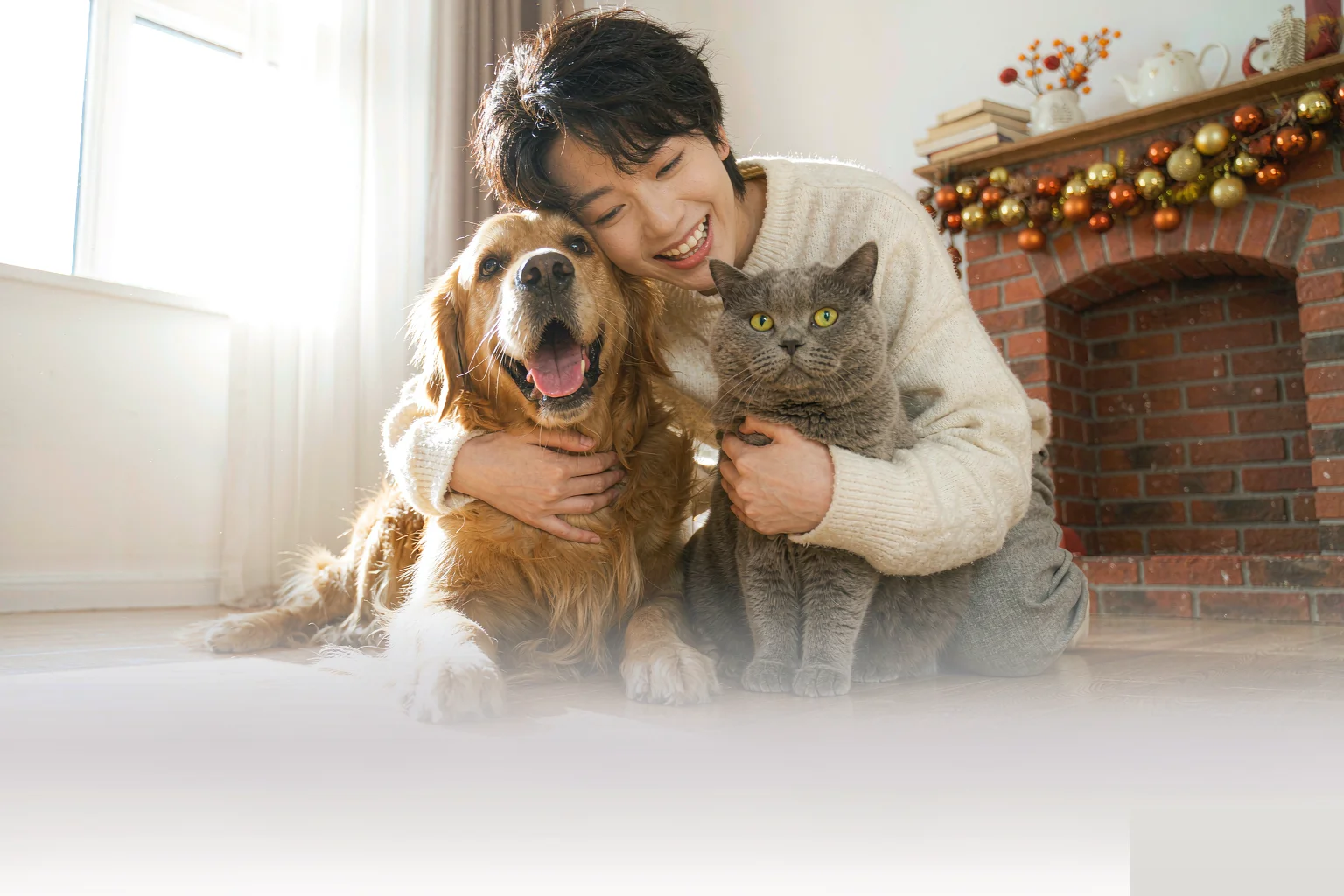 宠王子 PetKing 与宠物家庭温馨相伴